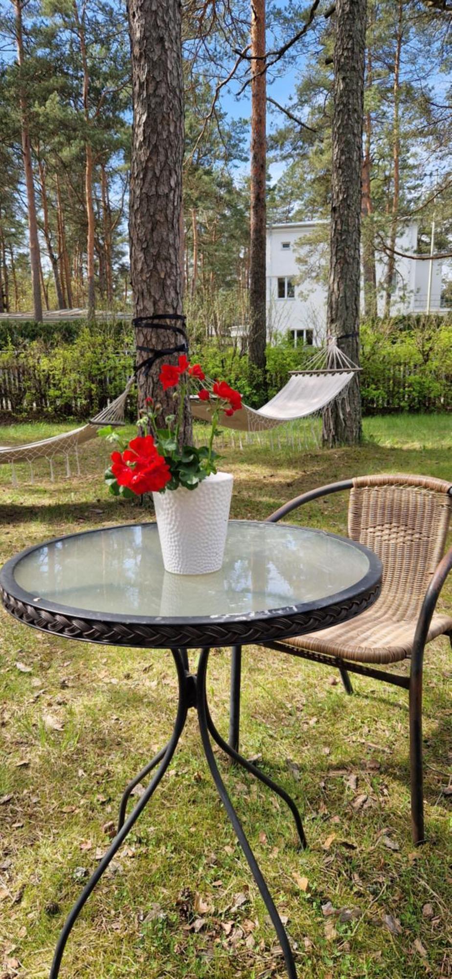 Freedom65 Hostel And Caravan Tallinn Luaran gambar